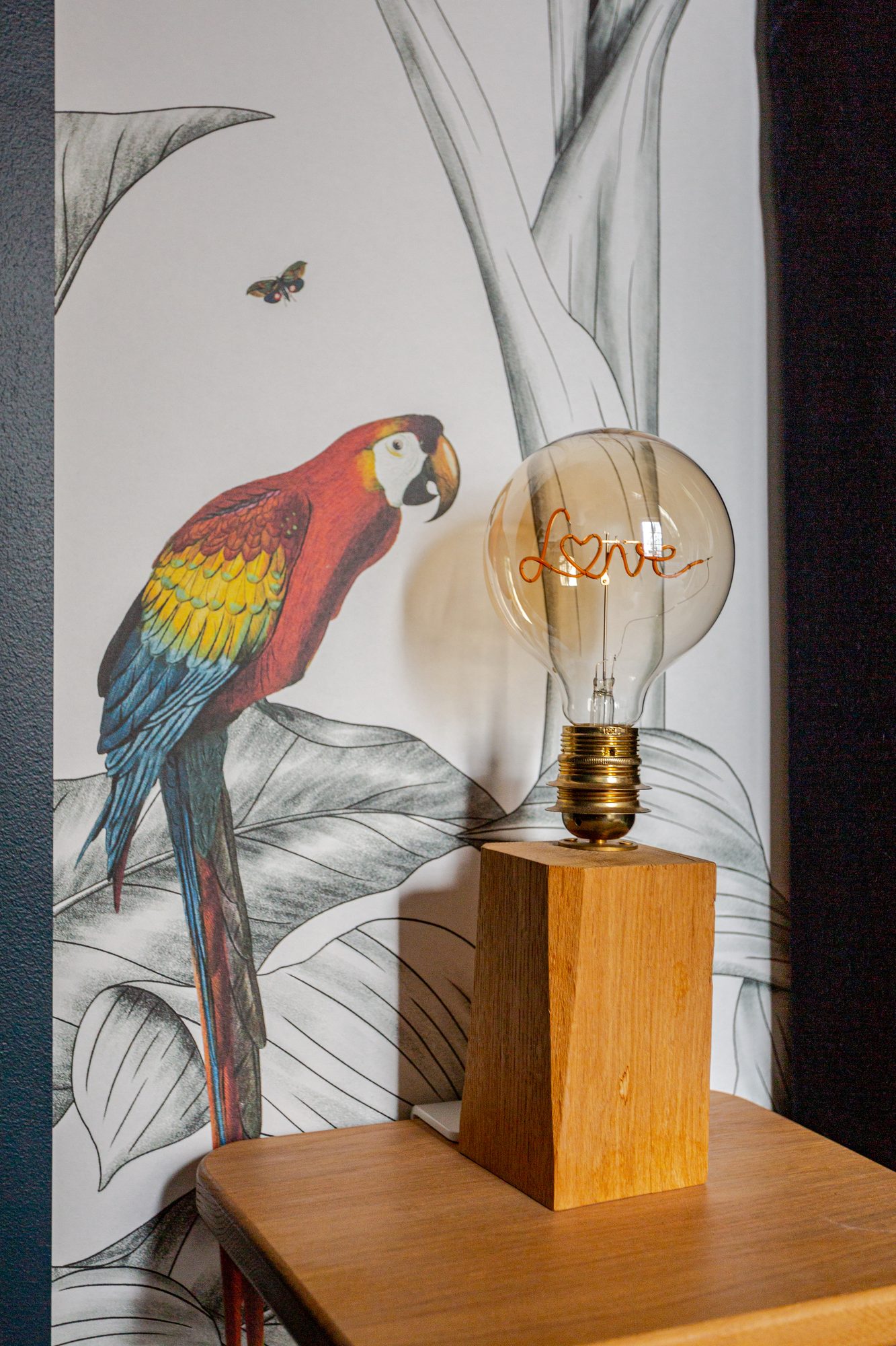A parrot mural and a Love-filament lamp