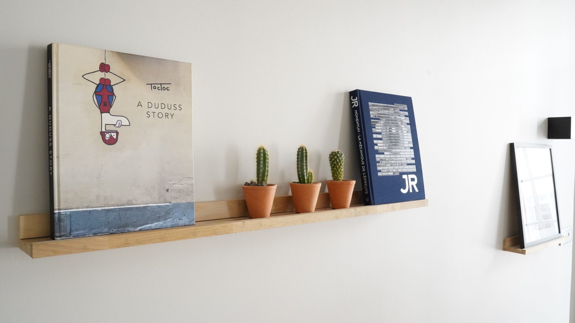 Art books and cactus on a picture ledge