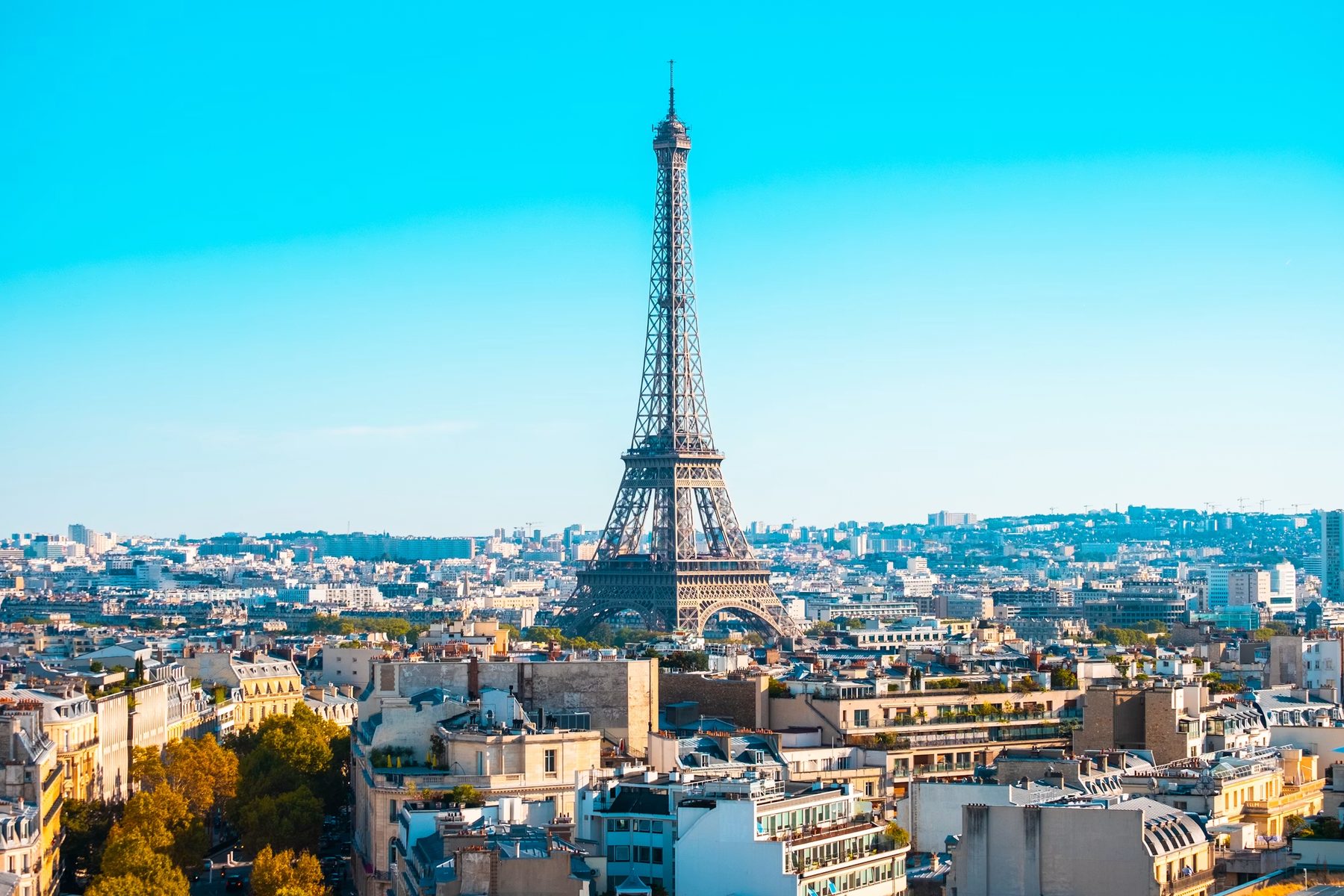 The Eiffel Tower over the Paris rooftops